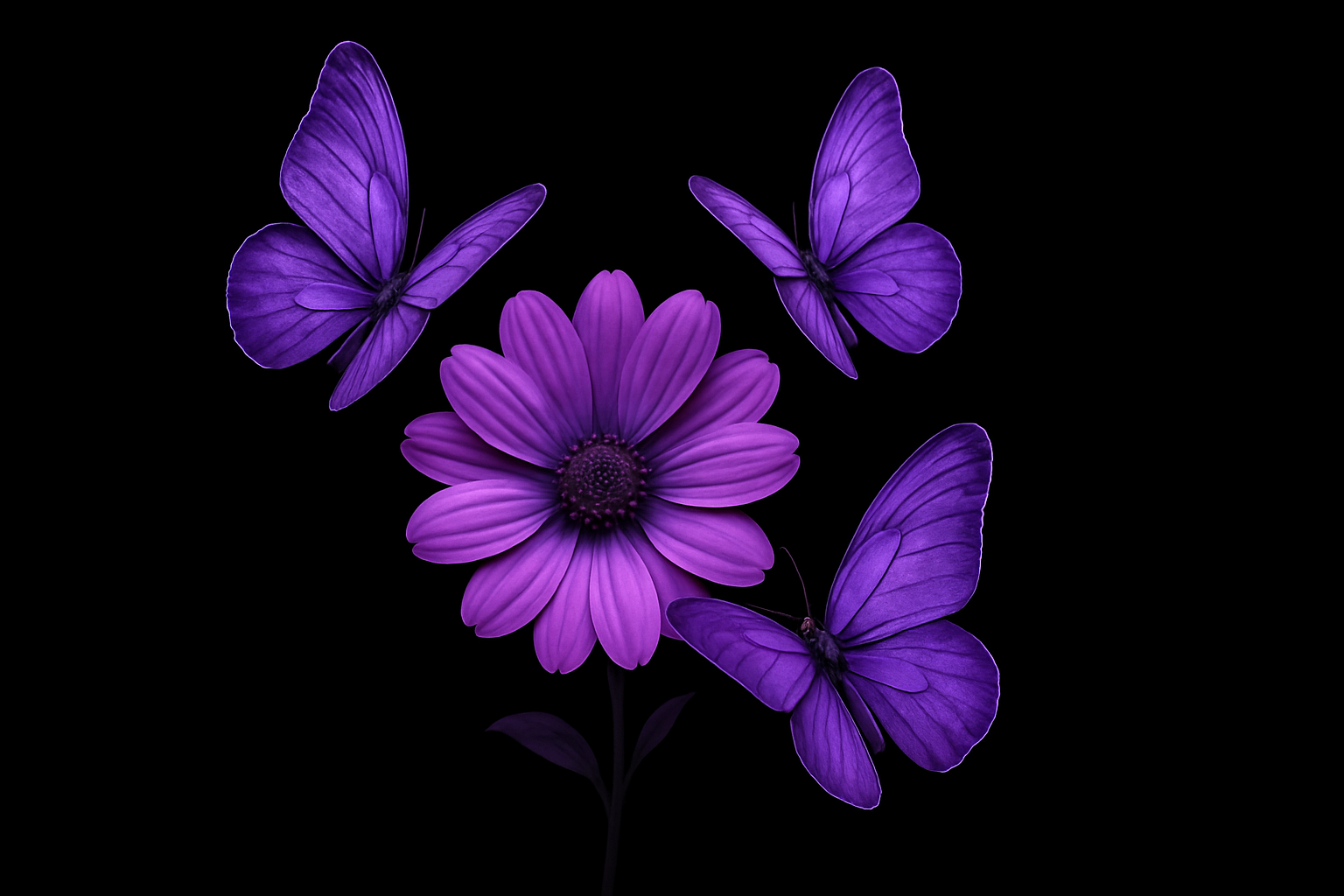 Papillons et fleur violets